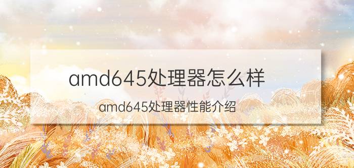 amd645处理器怎么样 amd645处理器性能介绍